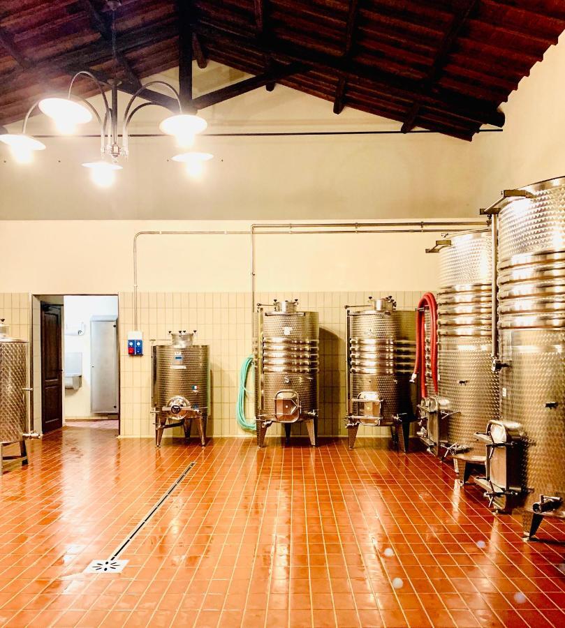 Fattoria Lucciano Villa Borghetto  Exterior photo